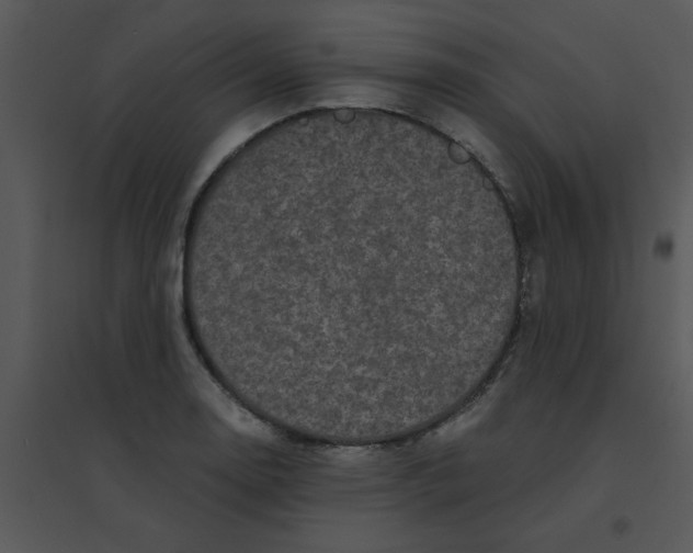 X0000095541130200801041303