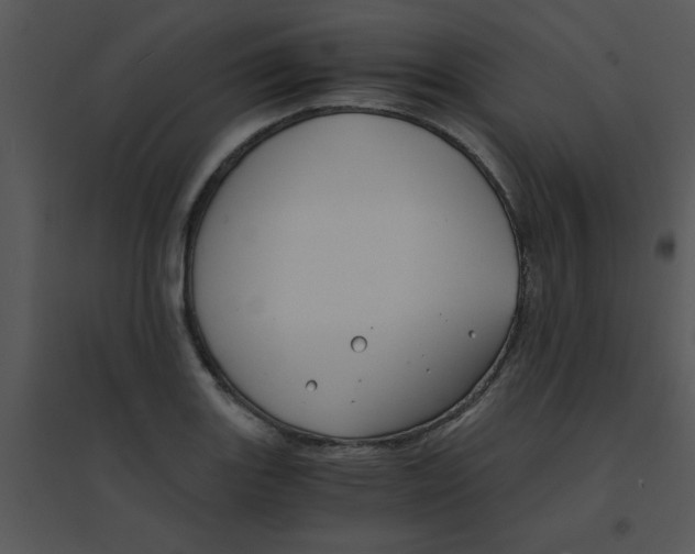 X0000095541131200801041303