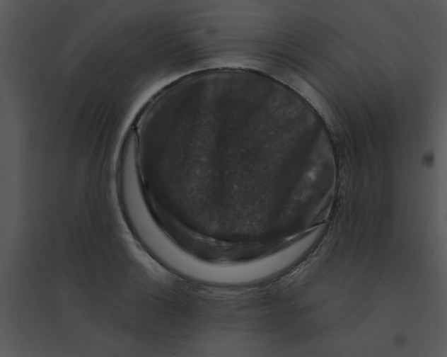 X0000095541132200801041303