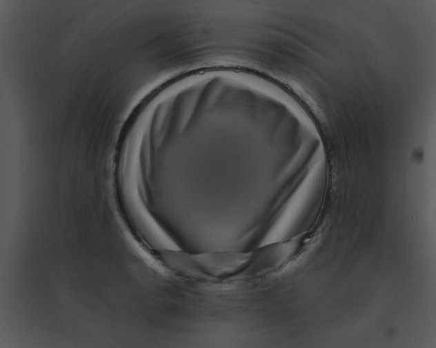 X0000095541134200801041303