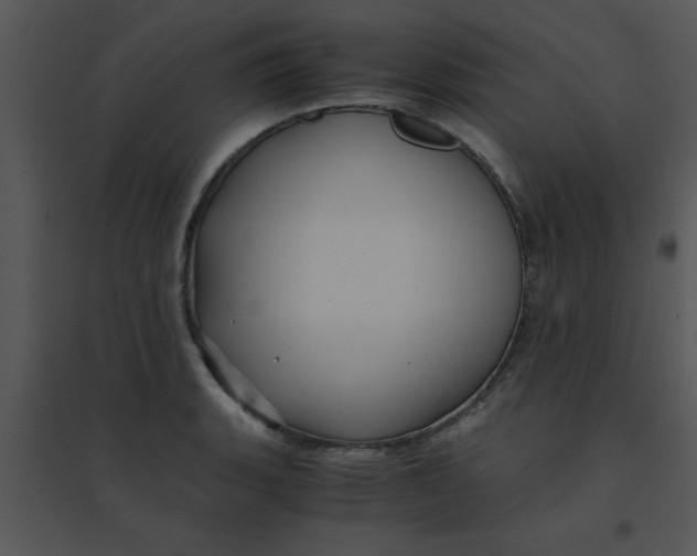 X0000095541135200801041303