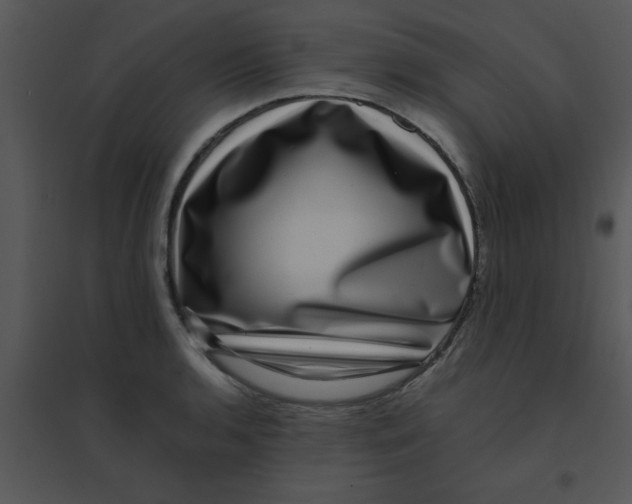 X0000095541136200801041303