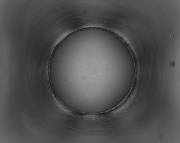 X0000095541137200801041303