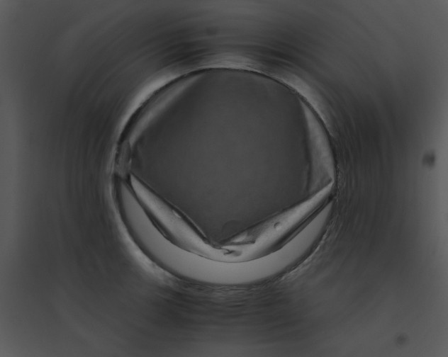 X0000095541139200801041303