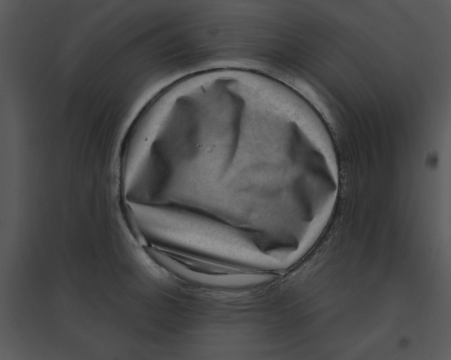 X0000095541140200801041303