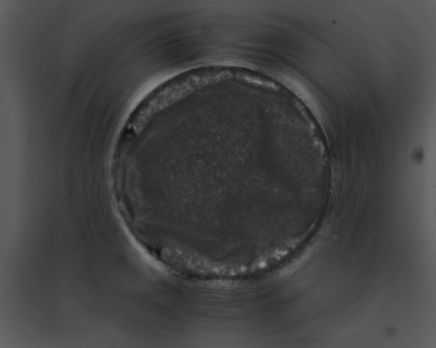 X0000095541141200801041303