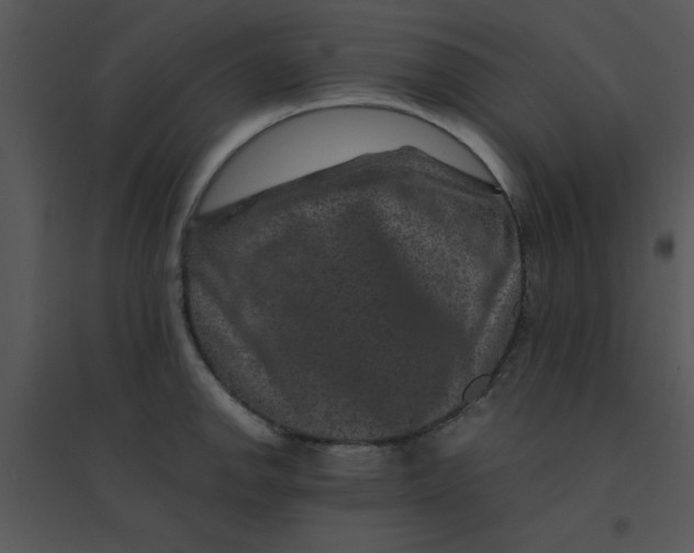 X0000095541142200801041303