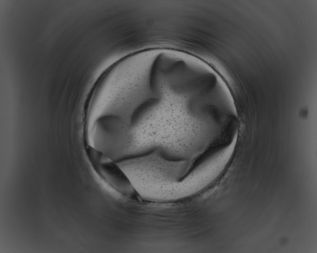 X0000095541143200801041303