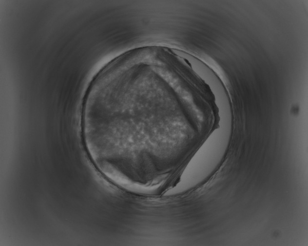 X0000095541144200801041303