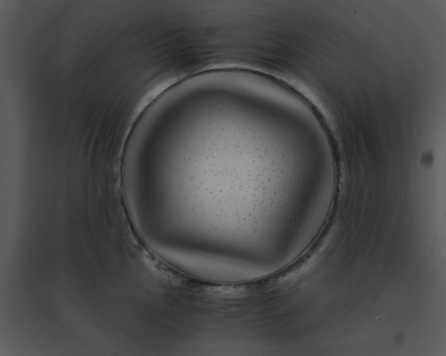 X0000095541145200801041303