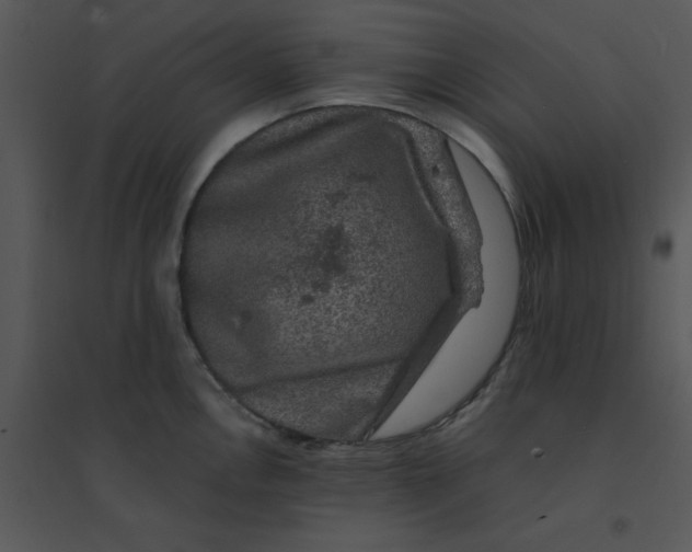 X0000095541146200801041303