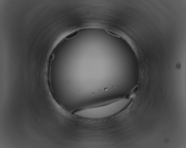 X0000095541147200801041303