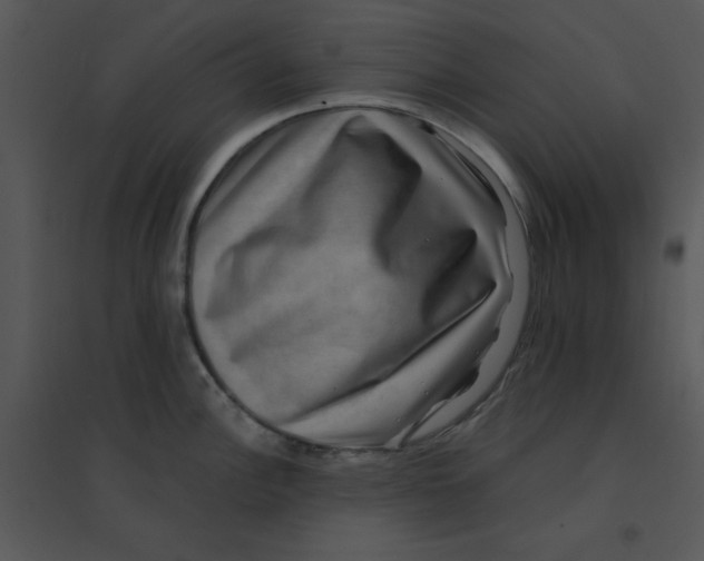 X0000095541148200801041303