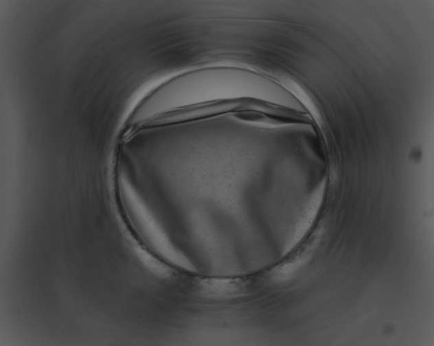 X0000095541149200801041303