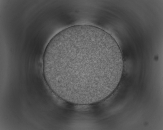 X0000095541150200801041303