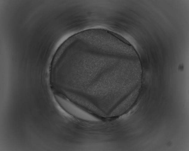 X0000095541151200801041303