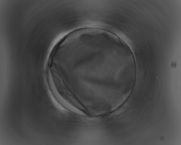 X0000095541152200801041303