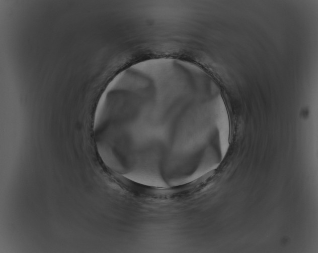 X0000095541153200801041303