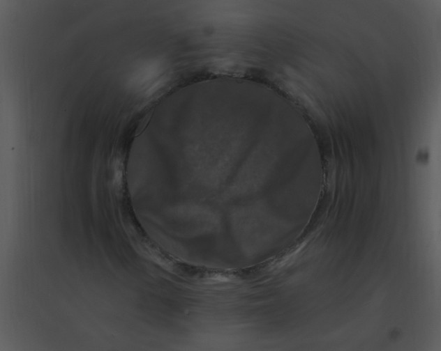 X0000095541154200801041303