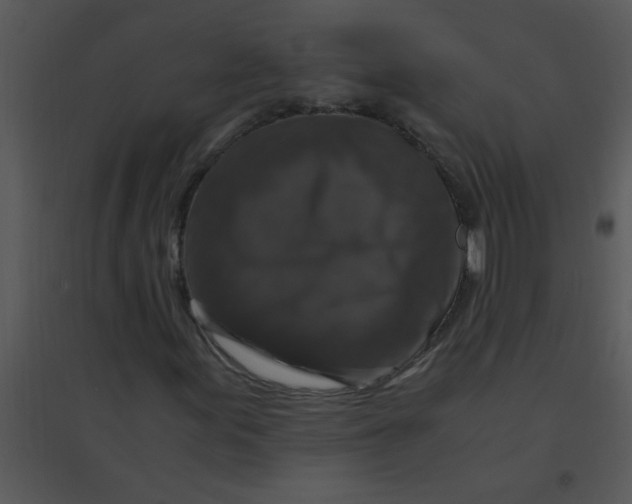 X0000095541155200801041303