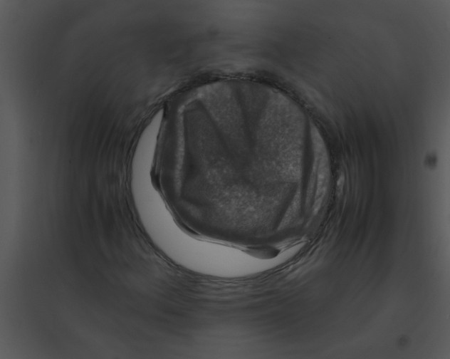 X0000095541156200801041303