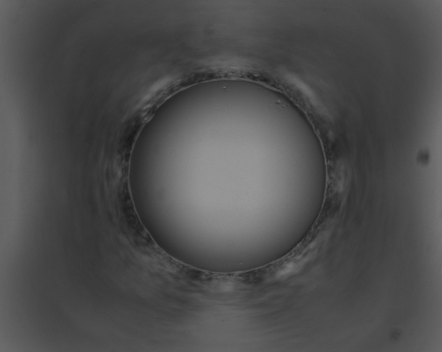 X0000095541157200801041303