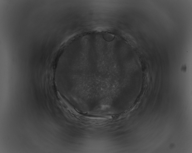 X0000095541158200801041303