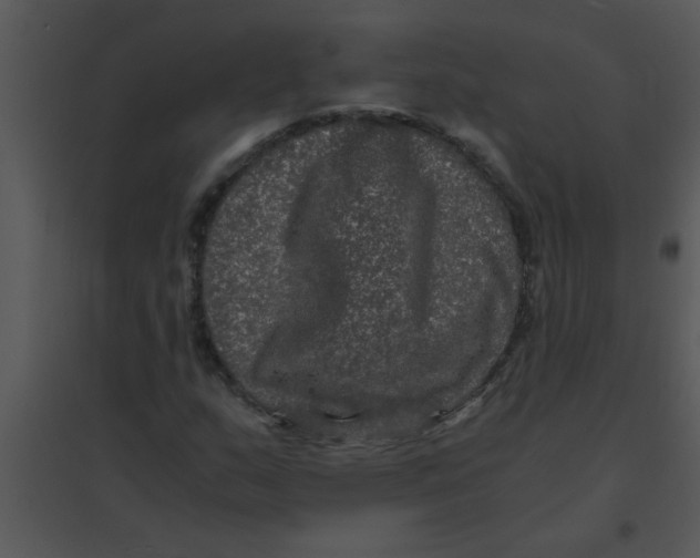 X0000095541159200801041303