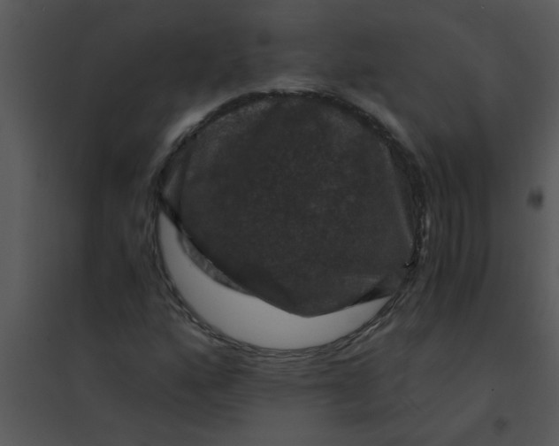 X0000095541160200801041303