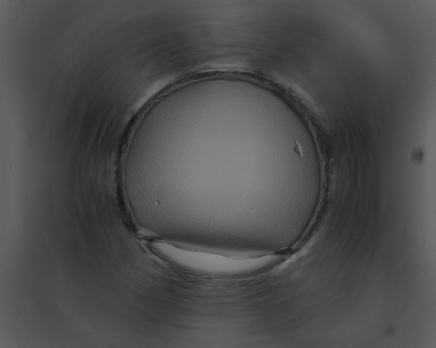 X0000095541162200801041303