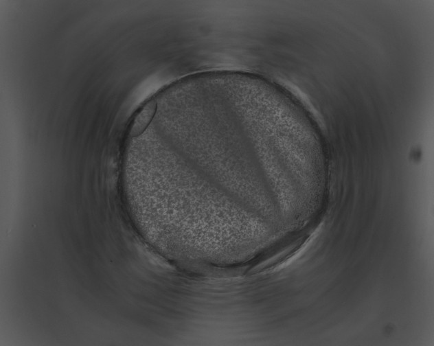 X0000095541163200801041303