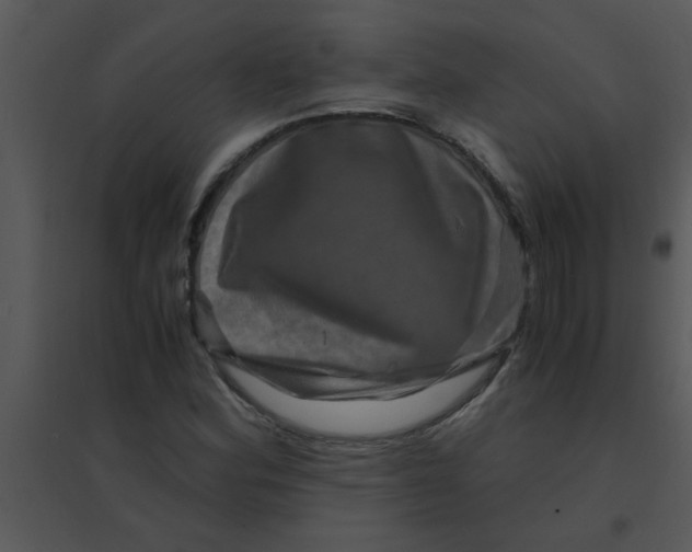 X0000095541164200801041303