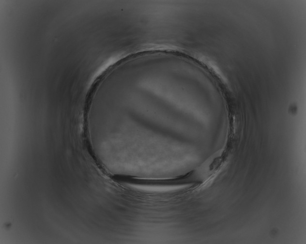 X0000095541165200801041303