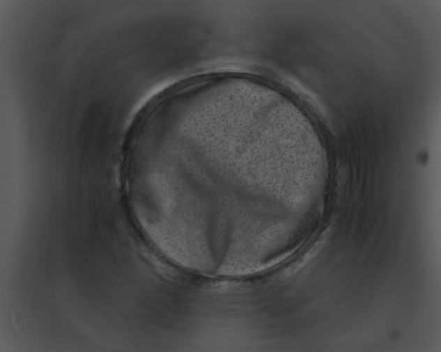 X0000095541166200801041303