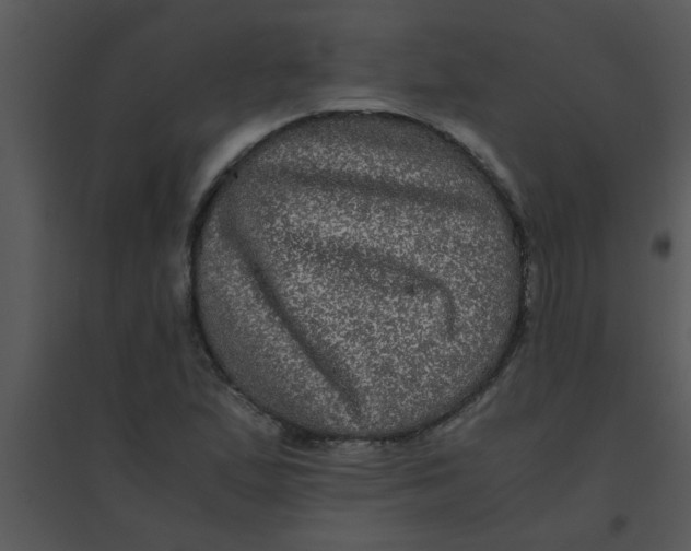 X0000095541167200801041303