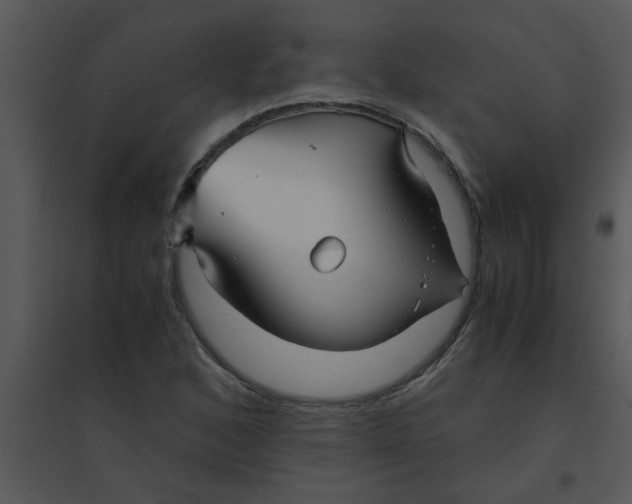 X0000095541168200801041302