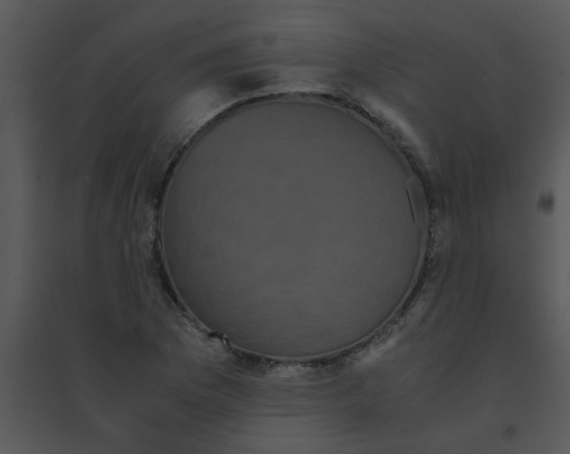 X0000095541169200801041302