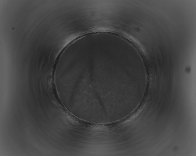 X0000095541170200801041302