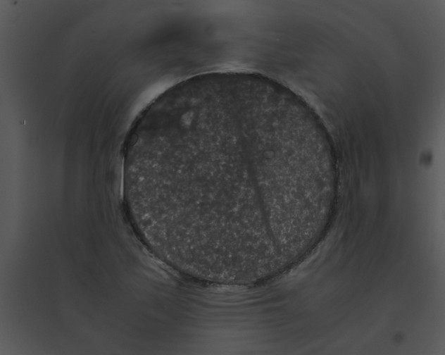 X0000095541171200801041302