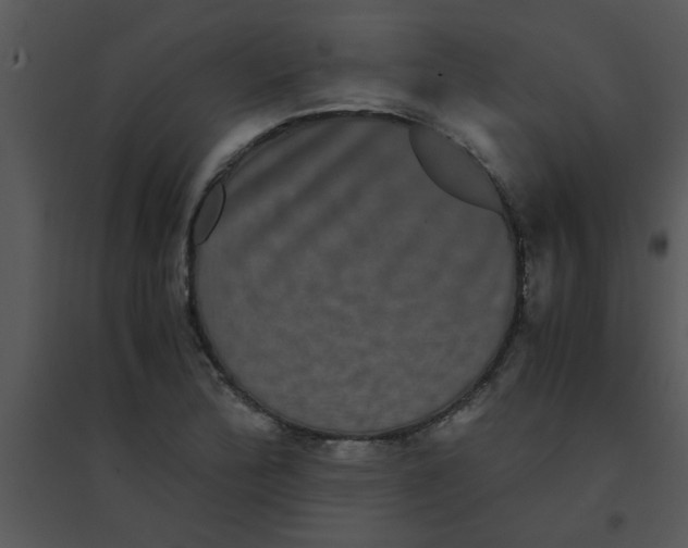 X0000095541172200801041302