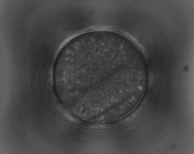 X0000095541174200801041302