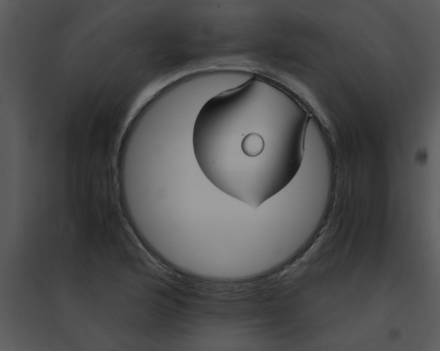 X0000095541176200801041302