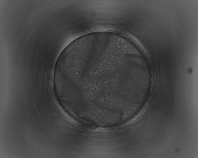 X0000095541178200801041302