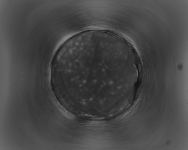 X0000095541179200801041302