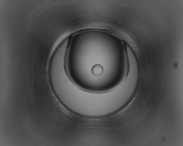 X0000095541180200801041302