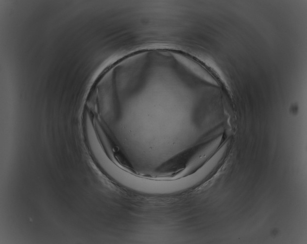 X0000095541181200801041302