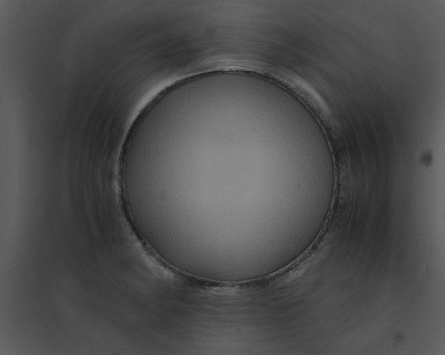 X0000095541182200801041302