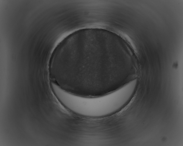 X0000095541184200801041302