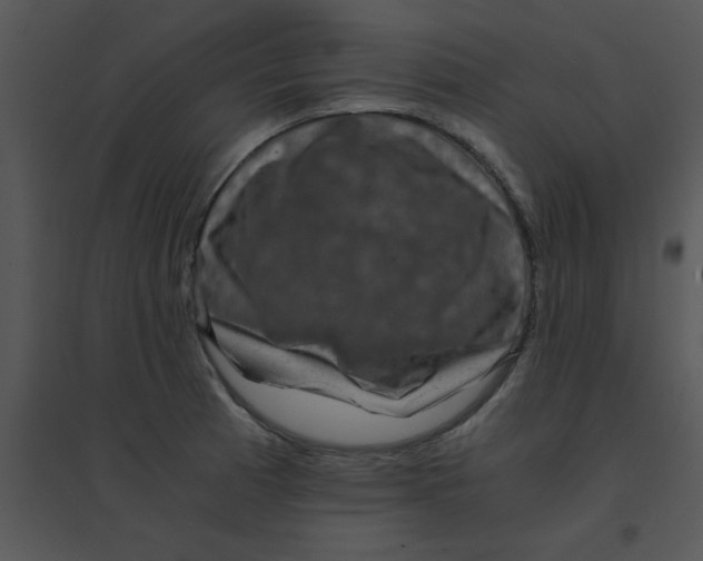 X0000095541185200801041302