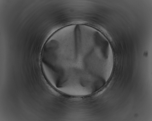 X0000095541186200801041302